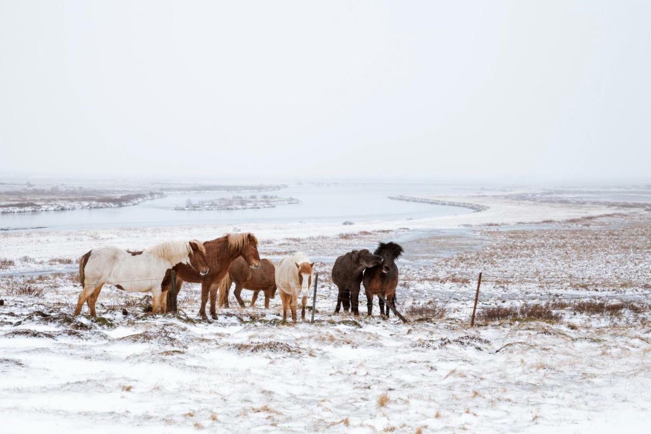 Experience Beautiful Iceland Ólafsvík Buitenkant foto