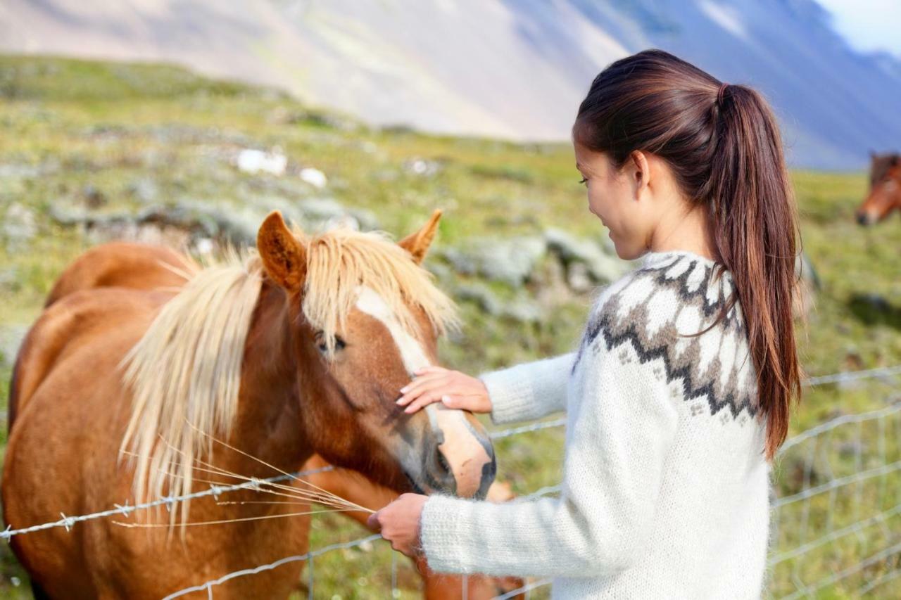 Experience Beautiful Iceland Ólafsvík Buitenkant foto