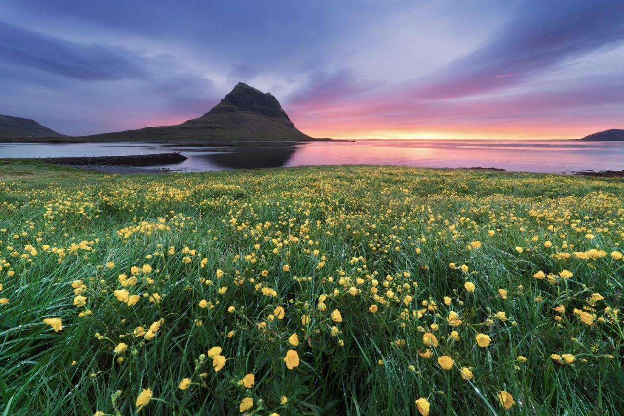 Experience Beautiful Iceland Ólafsvík Buitenkant foto